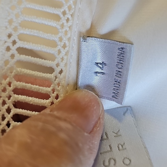 Carlisle 100% Silk Long Sleeve With Lace Blouse. Size 14. Elegant - Picture 11 of 12